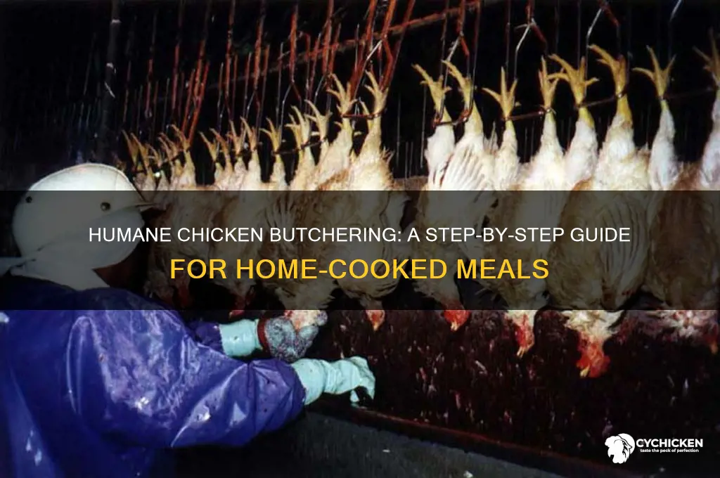 how to kill a chicken for dinner