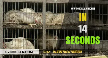Quick and Humane: Efficient Chicken Slaughter in 14 Seconds