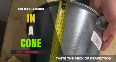 Humane Chicken Processing: Using a Cone for Quick and Clean Dispatch