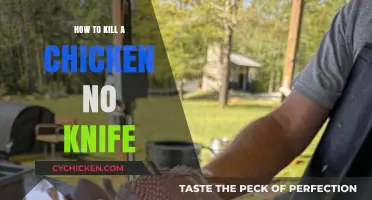 Humane Chicken Dispatch: Effective Knife-Free Methods for Quick and Clean Results