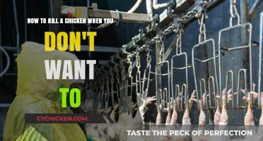 The Unpleasant Task: Killing a Chicken Reluctantly