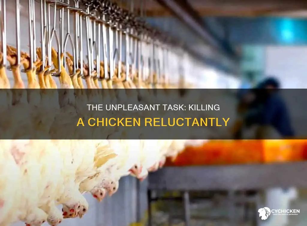 how to kill a chicken when you don