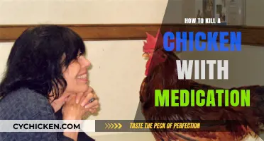 Euthanizing Chickens: Safe Medication Methods for Humane Poultry Care