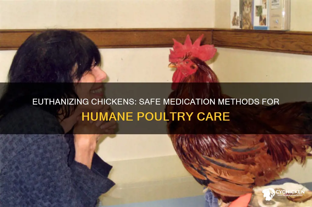 how to kill a chicken wiith medication