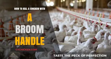 The Quick, Humane Way to Dispatch a Chicken