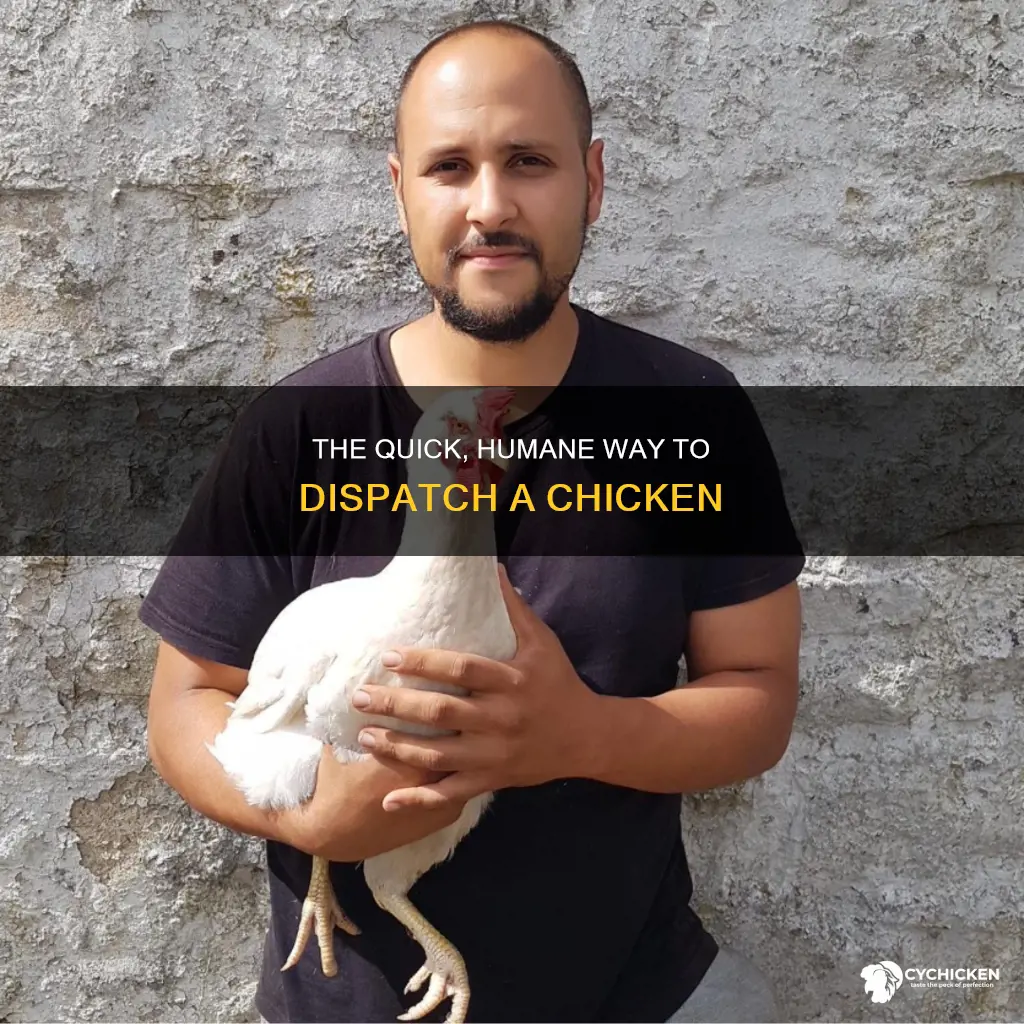how to kill a chicken with a broom handle