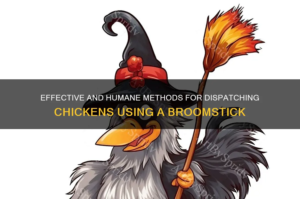 how to kill a chicken with a broomstick
