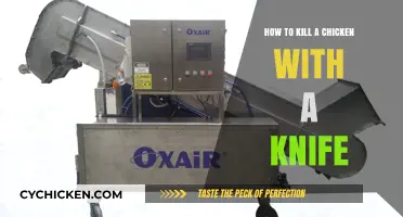 Humane Knife Techniques for Chicken Slaughter: A Step-by-Step Guide