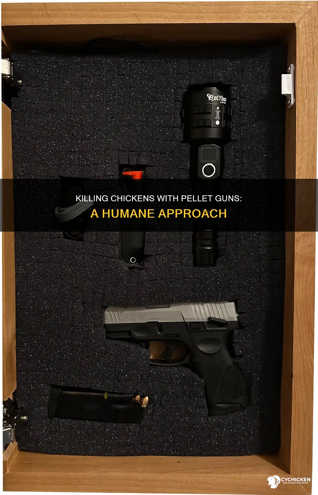 how to kill a chicken with a pellet gun