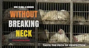 Humane Chicken Slaughter: A Guide to Neck-Safe Killing Methods