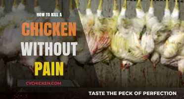 Humane Chicken Slaughter: Quick, Painless Methods for Ethical Processing