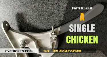 Humane Methods for Dispatching a Single Chicken: A Step-by-Step Guide
