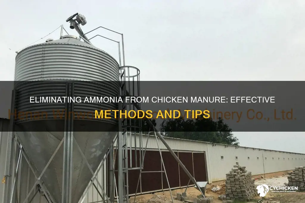 how to kill amonia out of chicken shit