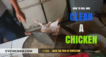 Mastering the Art of Chicken Butchering: Humane Killing and Cleaning Guide