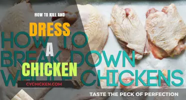 Mastering the Art of Chicken Butchery: Humane Slaughter and Dressing Guide