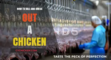 Humane Chicken Processing: Killing and Dressing Out Step-by-Step Guide