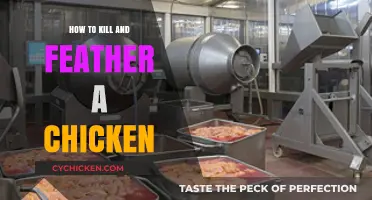 Mastering the Art of Humane Chicken Processing: Killing and Feathering