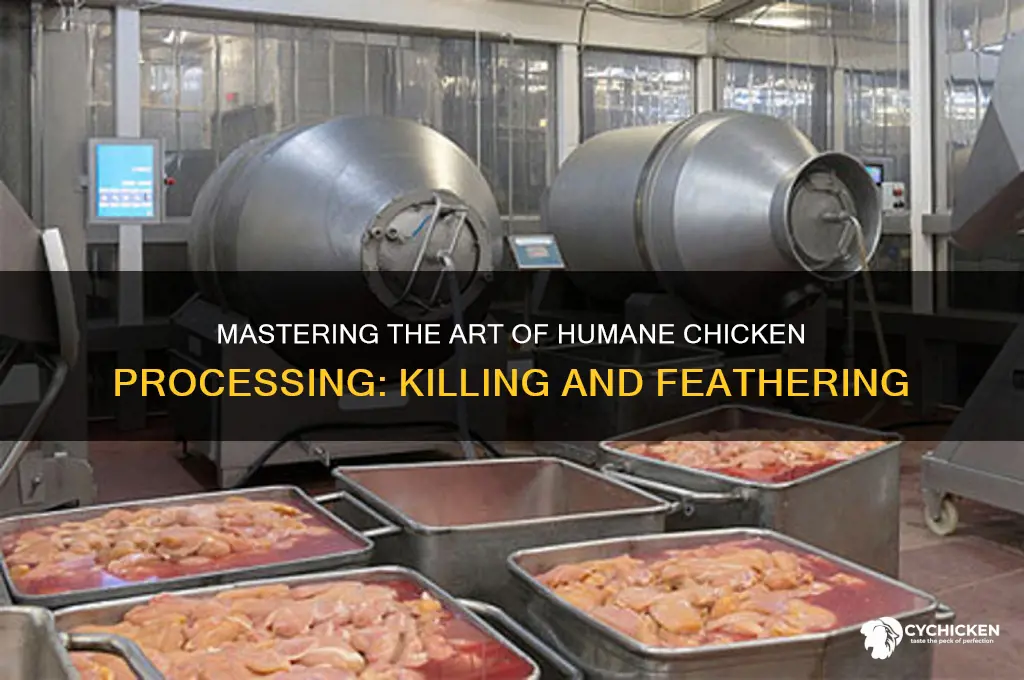 how to kill and feather a chicken