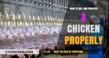 Humane Chicken Processing: A Step-by-Step Guide to Slaughter and Preparation