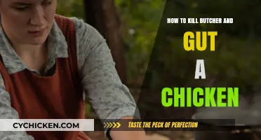 Butchering Chickens: A Step-by-Step Guide to Humane Slaughter and Gutting