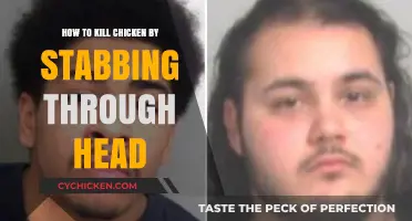 Effective and Humane Chicken Dispatch: Stabbing Through the Head Method