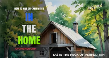 Effective Ways to Eliminate Chicken Mites in Your Home