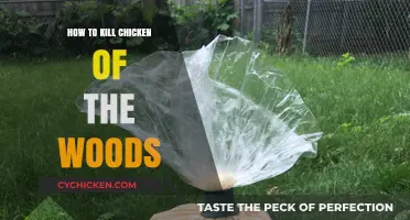 Effective Methods to Safely Eliminate Chicken of the Woods Fungus