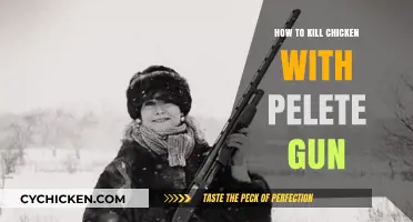 Effective and Humane Methods for Dispatching Chickens with a Pellet Gun