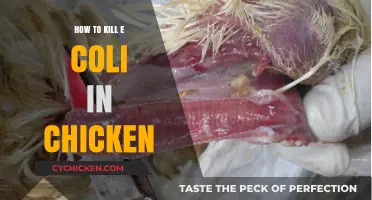 Effective Methods to Eliminate E. Coli in Chicken Safely