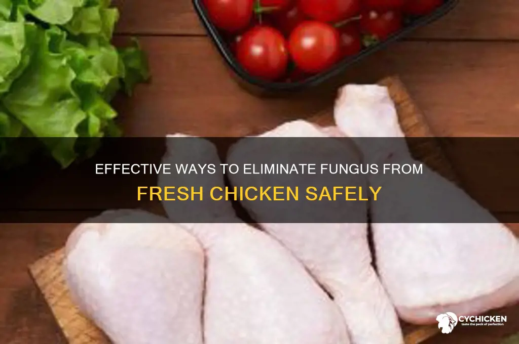 how to kill fungus on fresh chicken