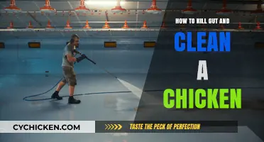 Mastering Chicken Butchering: Gutting and Cleaning Techniques for Home Cooks