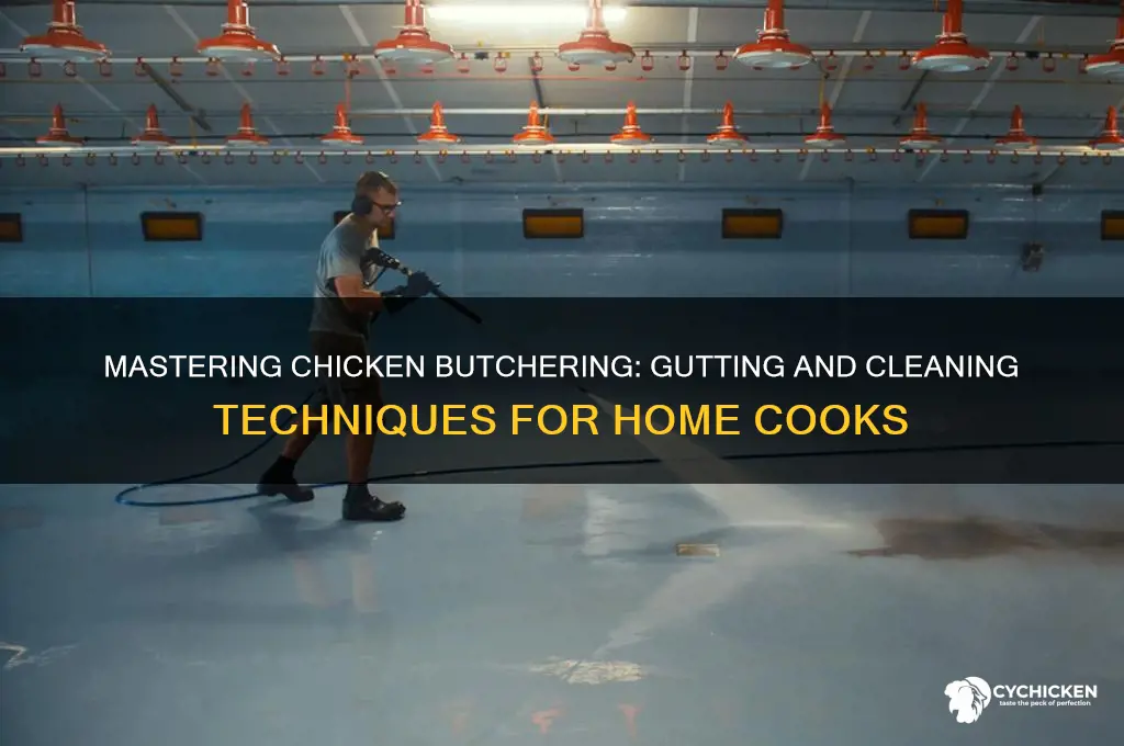 how to kill gut and clean a chicken