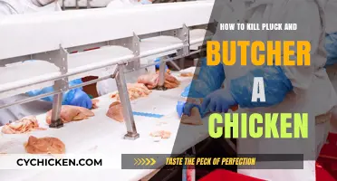 Mastering Chicken Processing: Plucking, Butchering, and Humane Slaughter Techniques