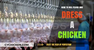 Mastering the Art of Raising and Processing Chickens at Home