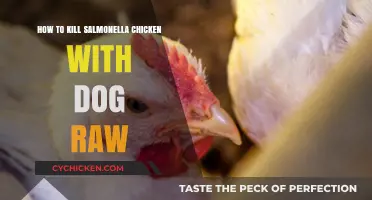 Eliminate Salmonella in Chicken Safely Using Raw Dog Food Methods