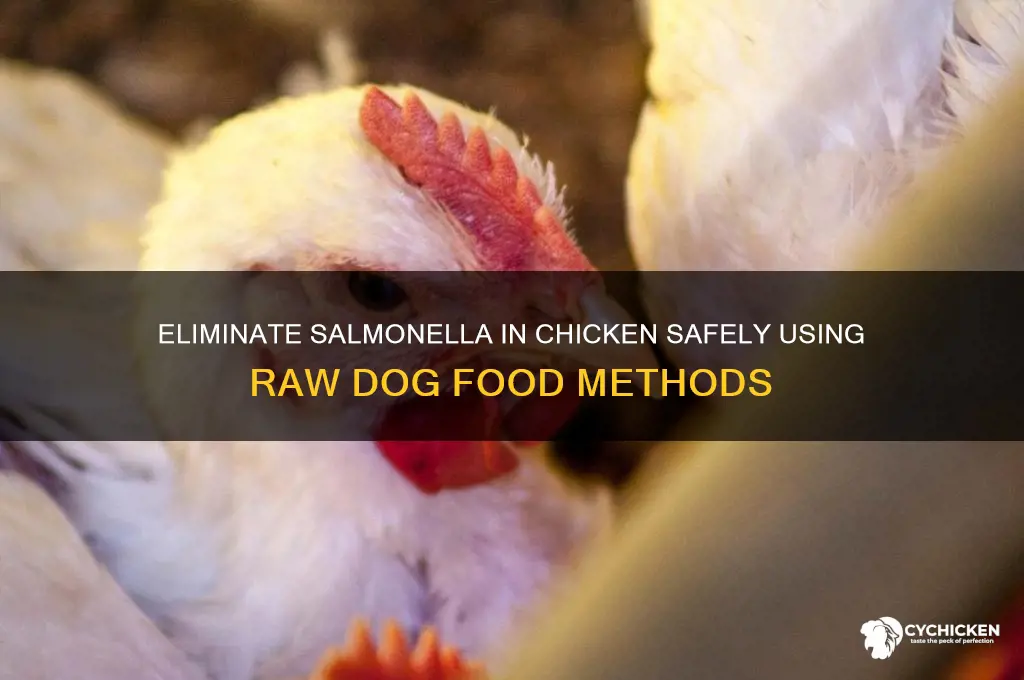 how to kill salmonella chicken with dog raw