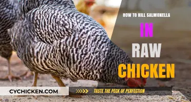 Safe Cooking: Eliminating Salmonella in Raw Chicken Effectively