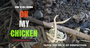 Effective Ways to Eliminate Worms in Your Chickens Safely