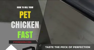 Quick and Humane Ways to Euthanize Your Pet Chicken