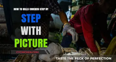 The Quickest Way to Butcher a Chicken