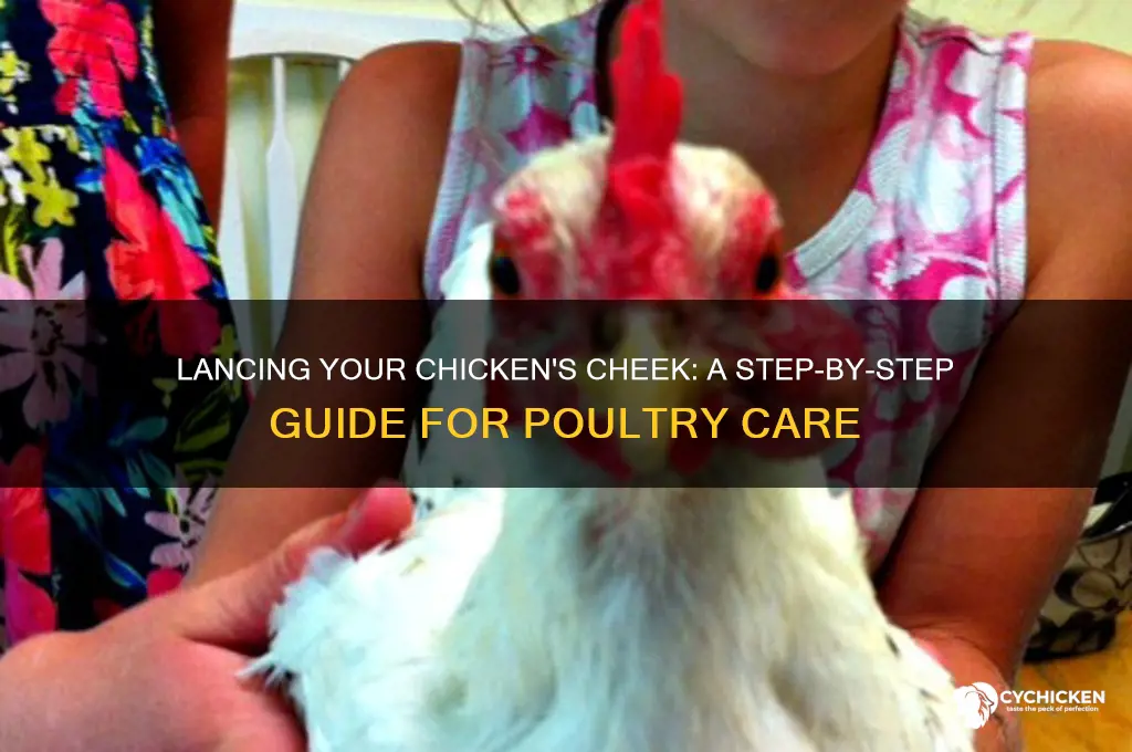 how to lance my chicken