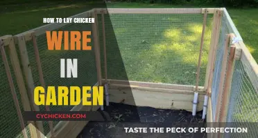 Effective Garden Protection: Laying Chicken Wire for Pest-Free Gardening