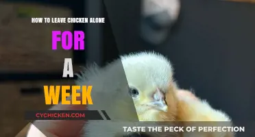 Leaving Your Chicken Alone for a Week: Tips and Tricks