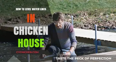 Leveling Water Lines in Chicken Houses: A Step-by-Step Guide