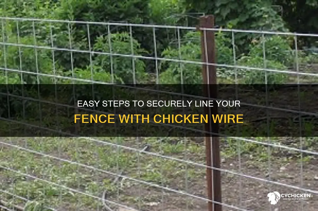 how to line fence with chicken wire