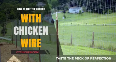 Effective Ground Lining: Using Chicken Wire for Garden Protection