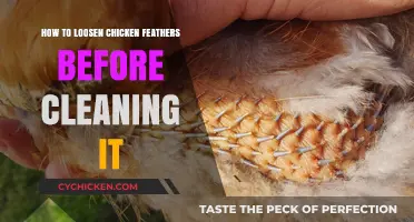 Efficient Feather Loosening Techniques for Easy Chicken Cleaning Preparation