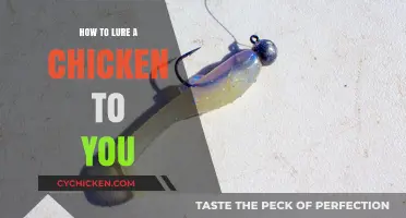 Mastering the Art of Attracting Chickens: Simple Tips to Lure Them Close