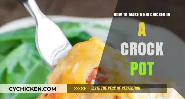 Slow-Cooked to Perfection: Crock Pot Chicken Feast