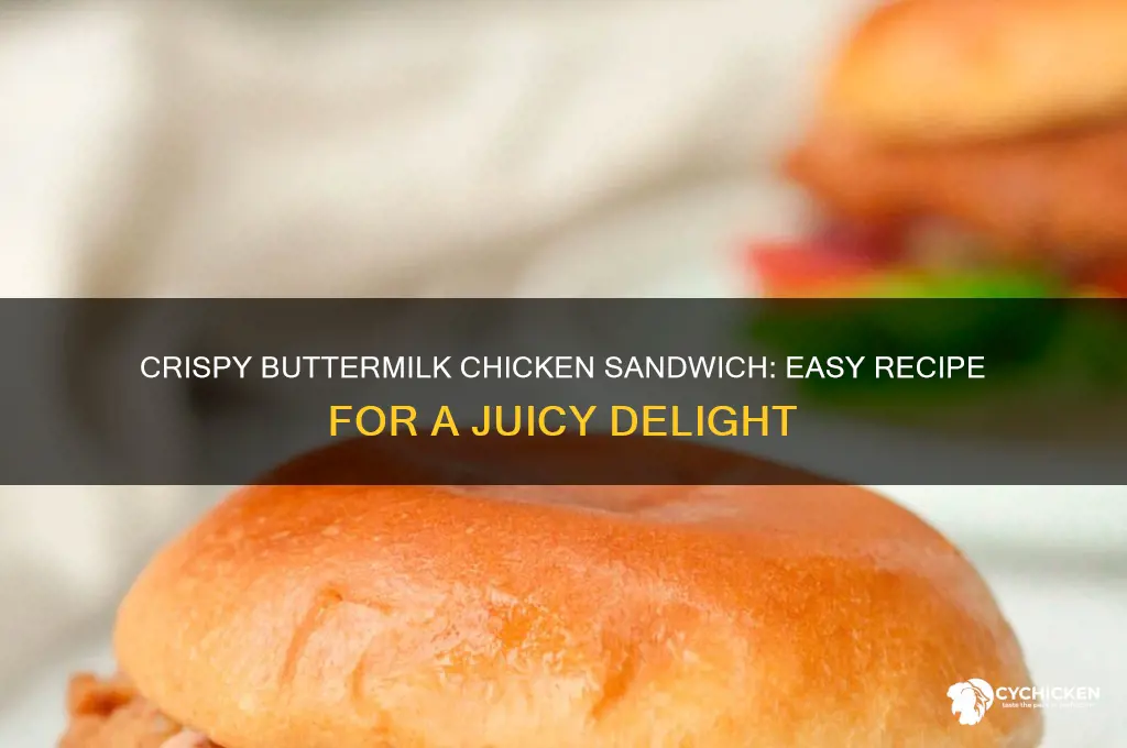 how to make a buttermilk chicken sandwich